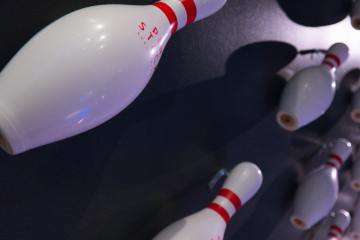 Roosevelt Lanes, Allen Park 48101, MI - Photo 1 of 2